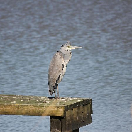 Lakeside Park Hotel & Spa Fishbourne  Esterno foto
